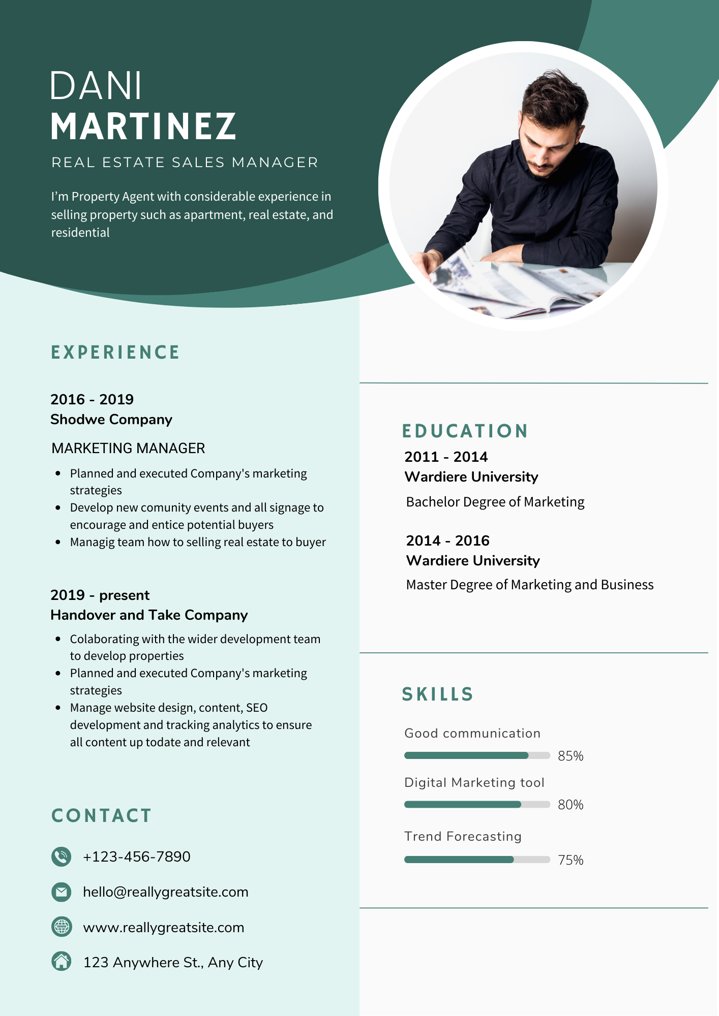 Creating Professional and designed CV 
