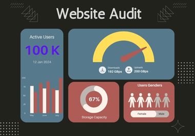 I will provide a professional SEO audit 