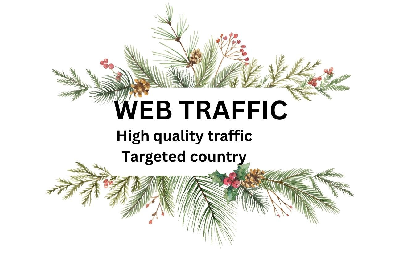 I will send you 400-500 web traffic per day from USA