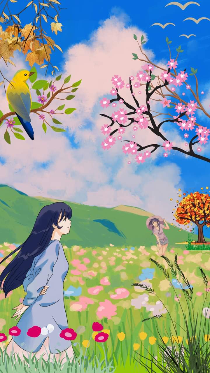 Design professional quality graphics you need