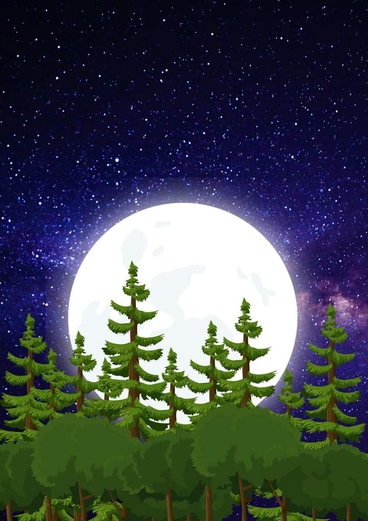 Design and create the professional quality graphics y...