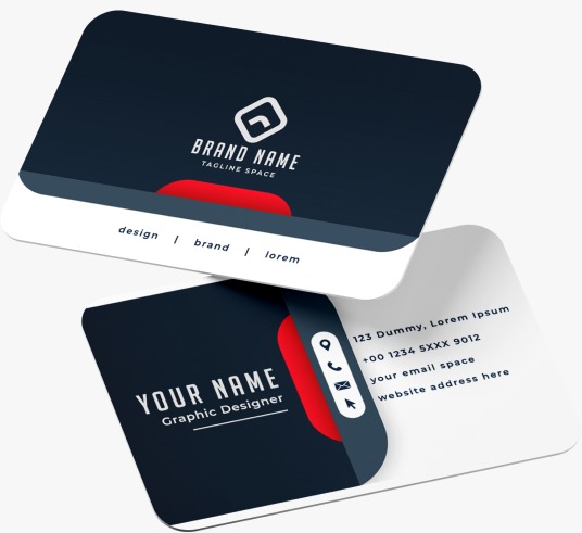 I am a professional expert Designer