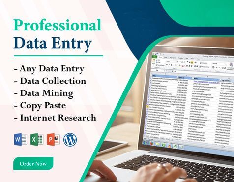 I will do data entry, internet research, data mining, copy paste work