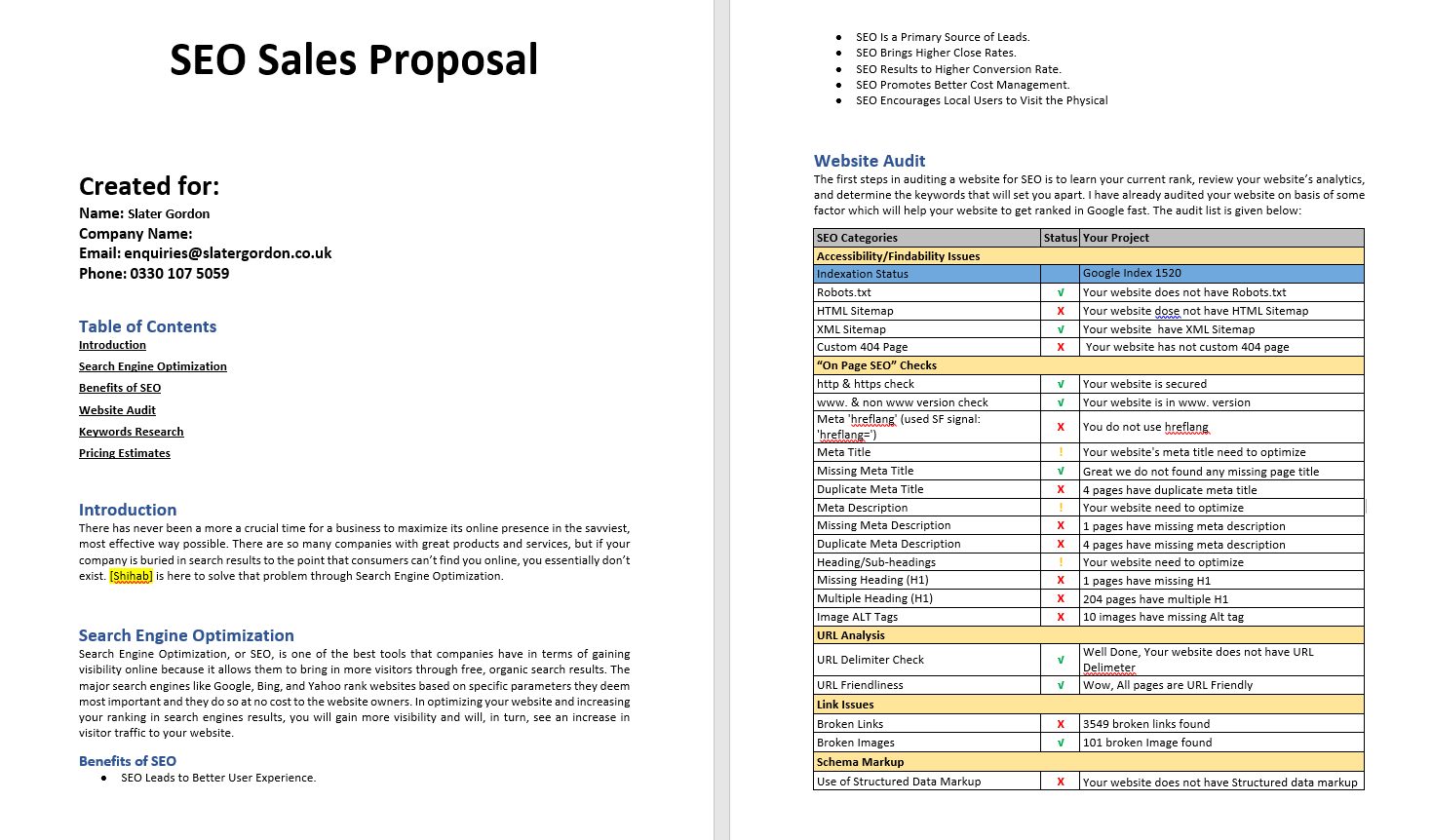 I will do website SEO audit report and fix errors