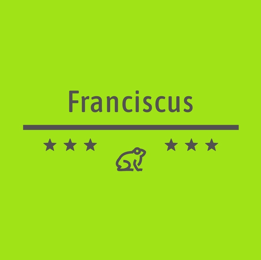 Creative Logo Design Services, logo creations