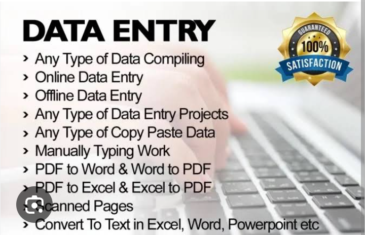Data Entry copy paste typing work pdf conversion hand writing scanning work cover letter