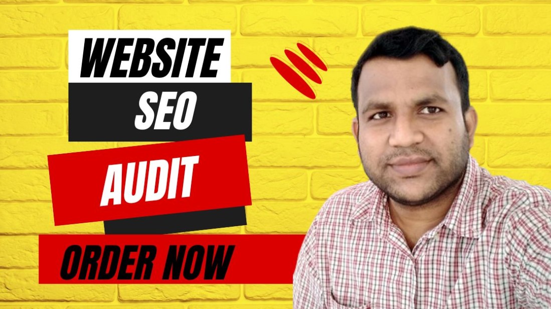 I will provide professional website seo audit
