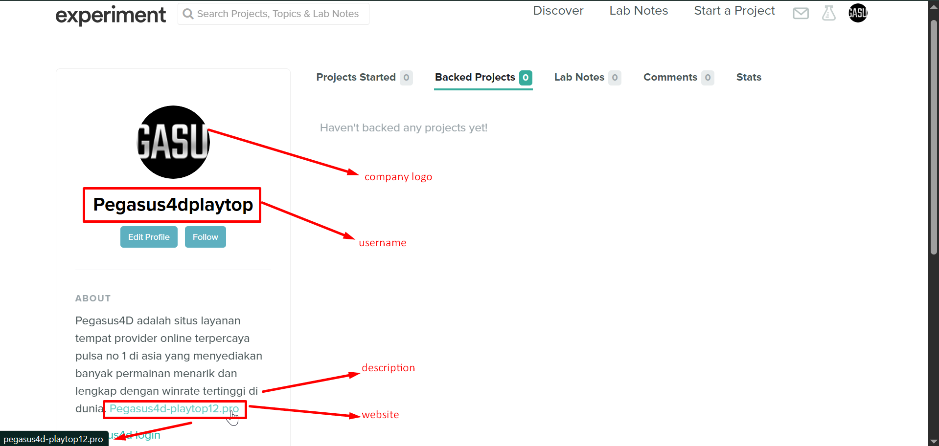 100 SEO Dofollow Profile Backlinks DA 50-100 Safe, High Quality And Manual