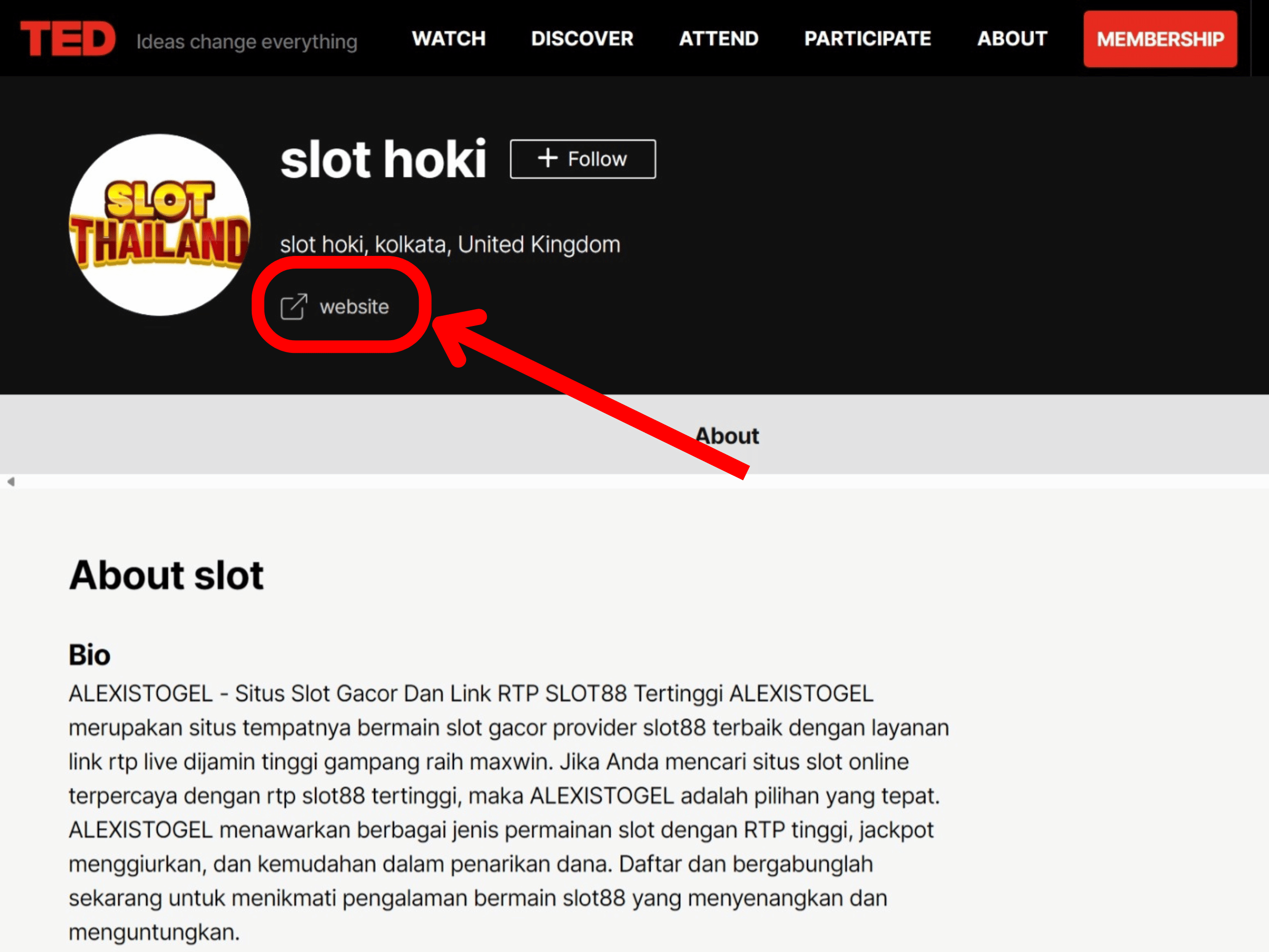 I will do high DA 80+ Dofollow 100 profile backlinks