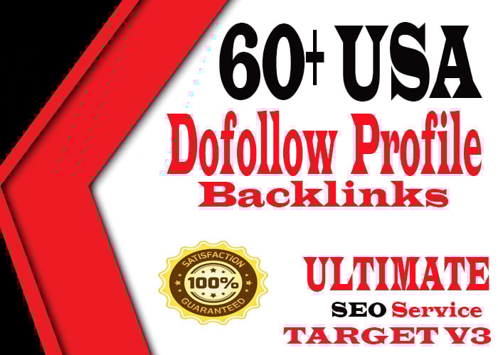 provide skyroclet google ranking 60 USA High DA80 &am...