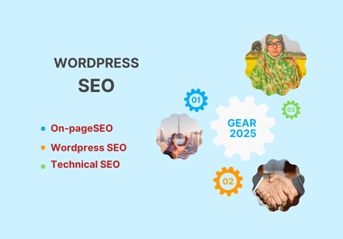 I will provide advanced website audit