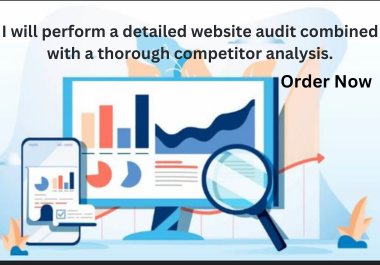 I will perform a detailed website audit combined with a thorough competitor analysis.
