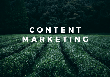 1000+ Words of Expertly Written, SEO-Friendly Blog Posts, Articles, and Web Content on Subjects