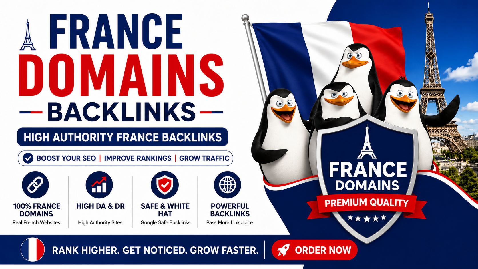 Get 100+ .fr France based domains backlinks 
