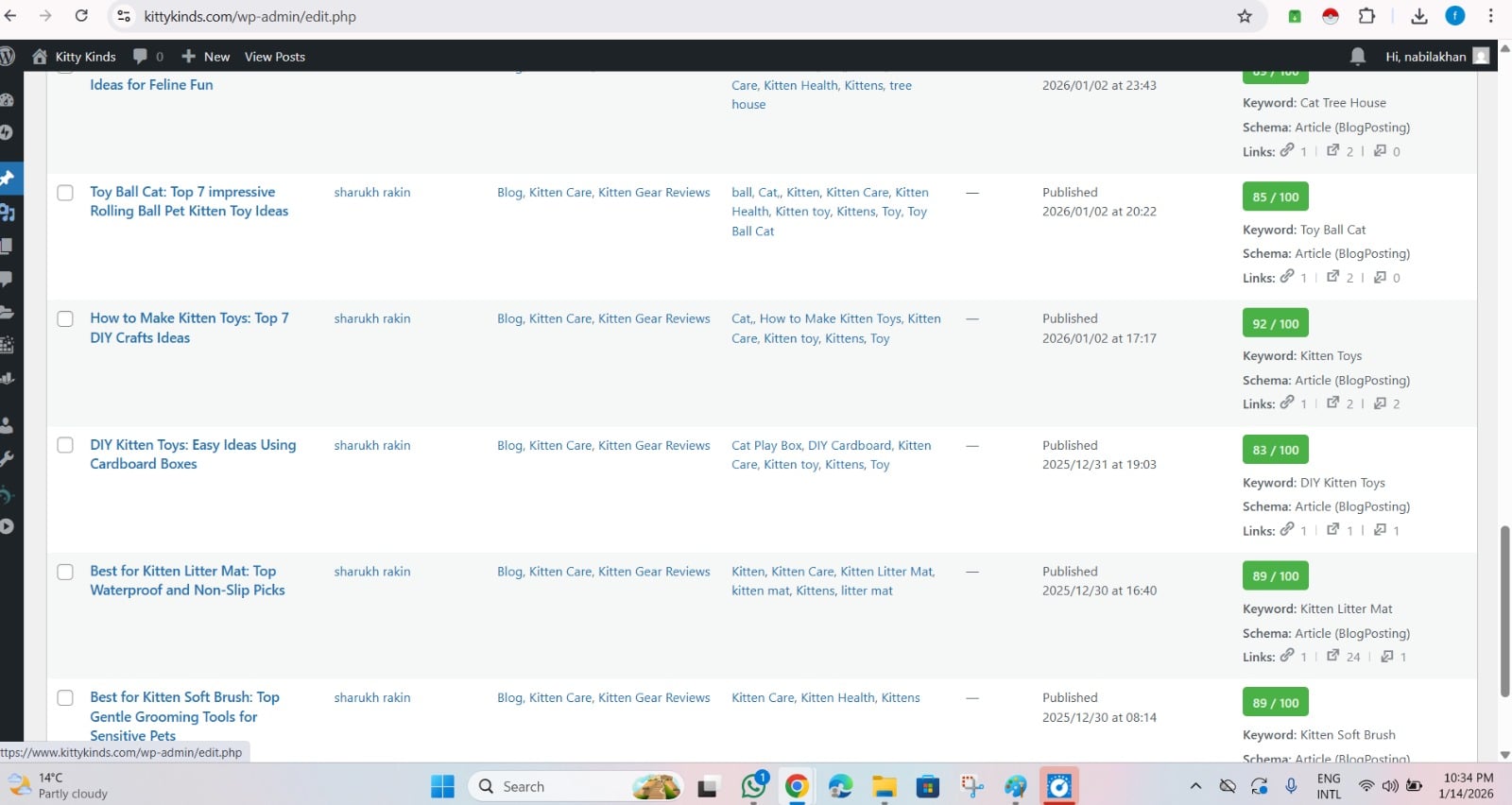 I will do advanced on page SEO optimization to rank your website on Google