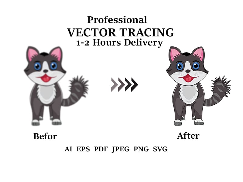 I will do professional vector tracing, image or logo tracing, convert to vector ai