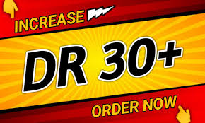 Increase DR 30 with Trusted High Quality Manual Backlink Services safe and guaranteed