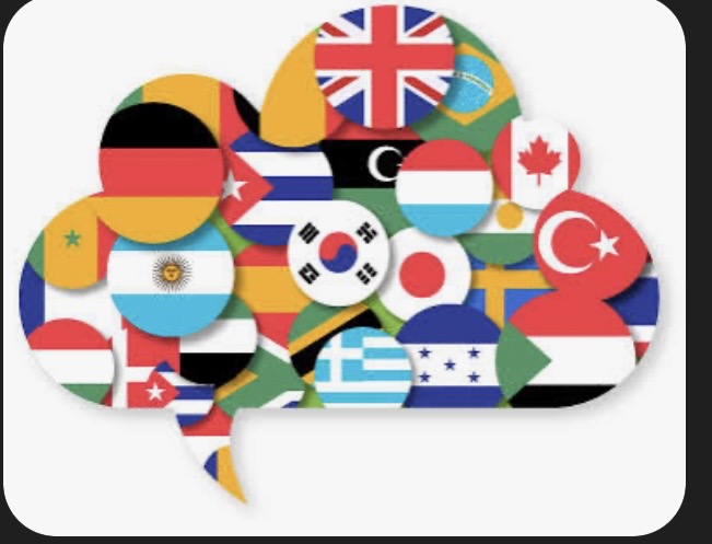 Professional Audio/Video Transcription & Translation in 24 Hours