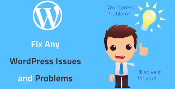 Professional Fixes for WordPress Website Themes and Plugins