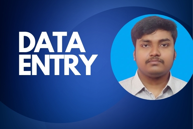 I Will Provide Professional Excel Data Entry and Web Research