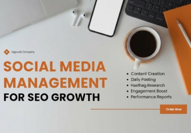 I will manage online media with SEO optimization