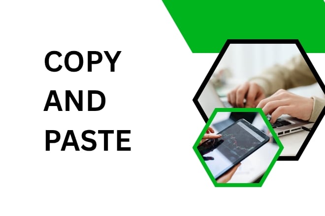 I will do data entry, Excel,Copy paste,web research 