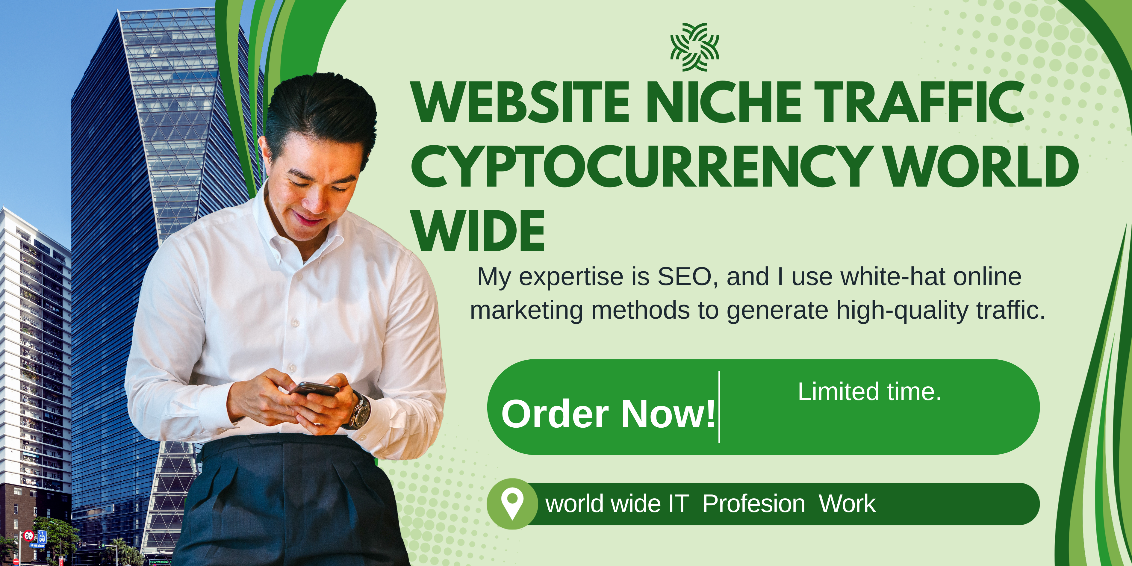 Website Niche Traffic cyptocurrency World Wide