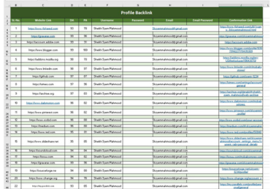 I will create white hat & high DA SEO profile backlinks for your website ranking