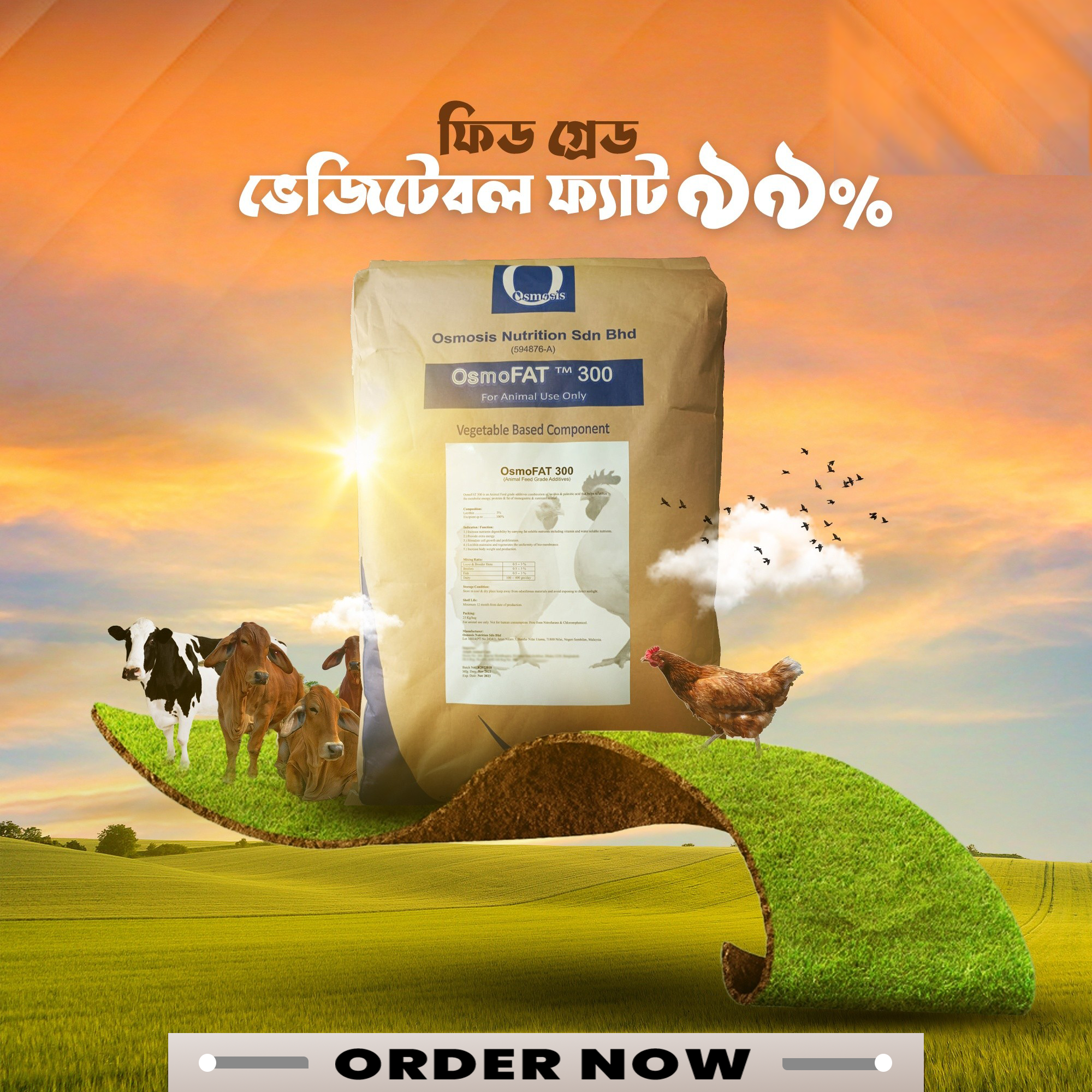 I will design professional product advertisement banner . 