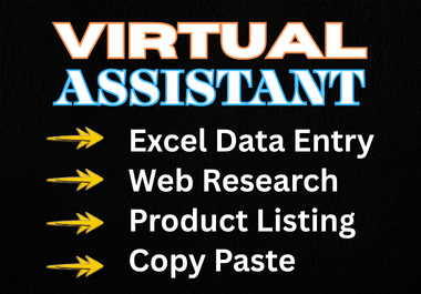 I will do Professional Excel Data Entry, Copy Paste & Web Research task