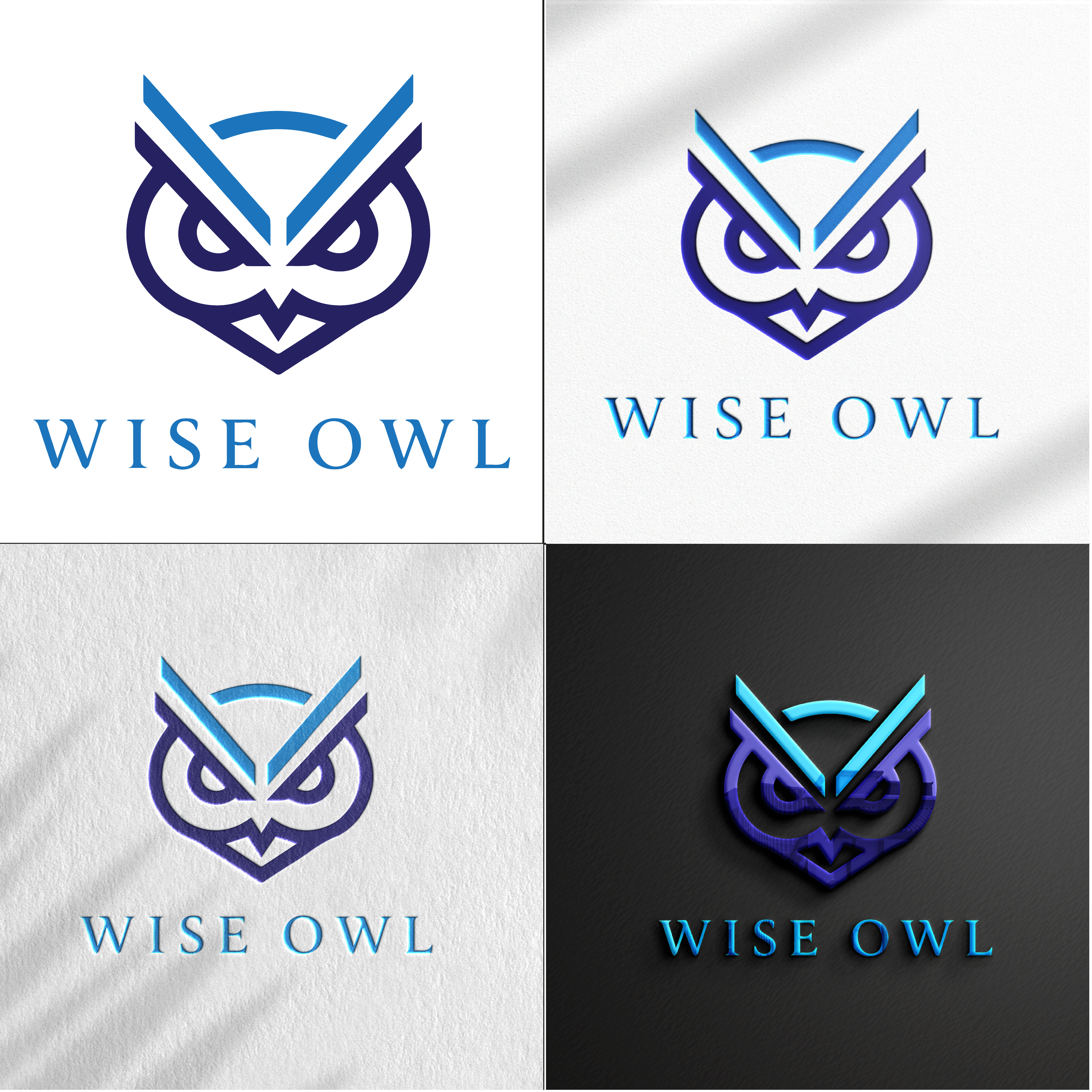 I will be your professional logo designer