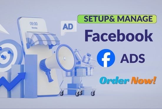I will set up your Facebook ad and Instagram ad for you.