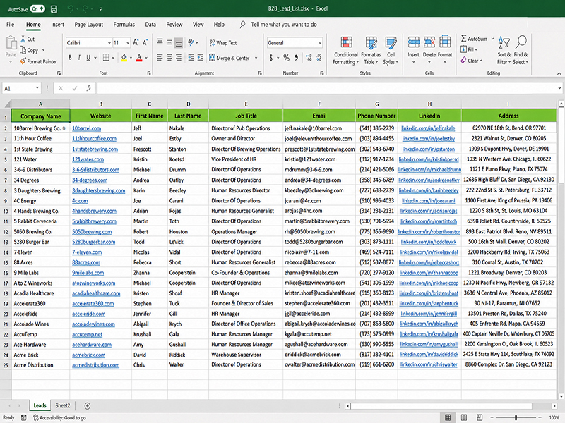 I will do targeted b2b lead generation, lead prospecting and list building