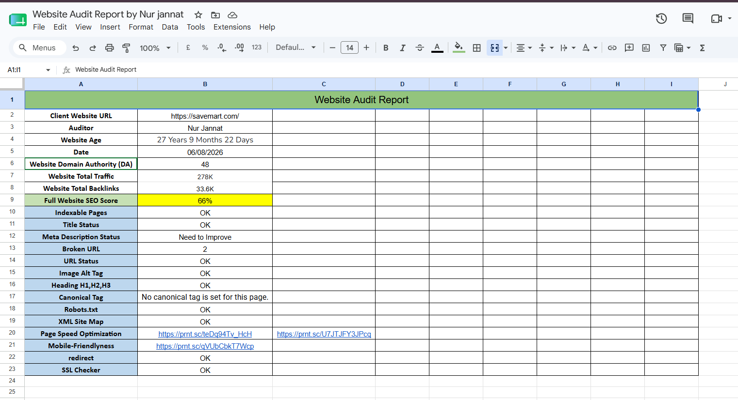 I Will Do a Complete Website SEO Audit and Provide a Detailed SEO Report