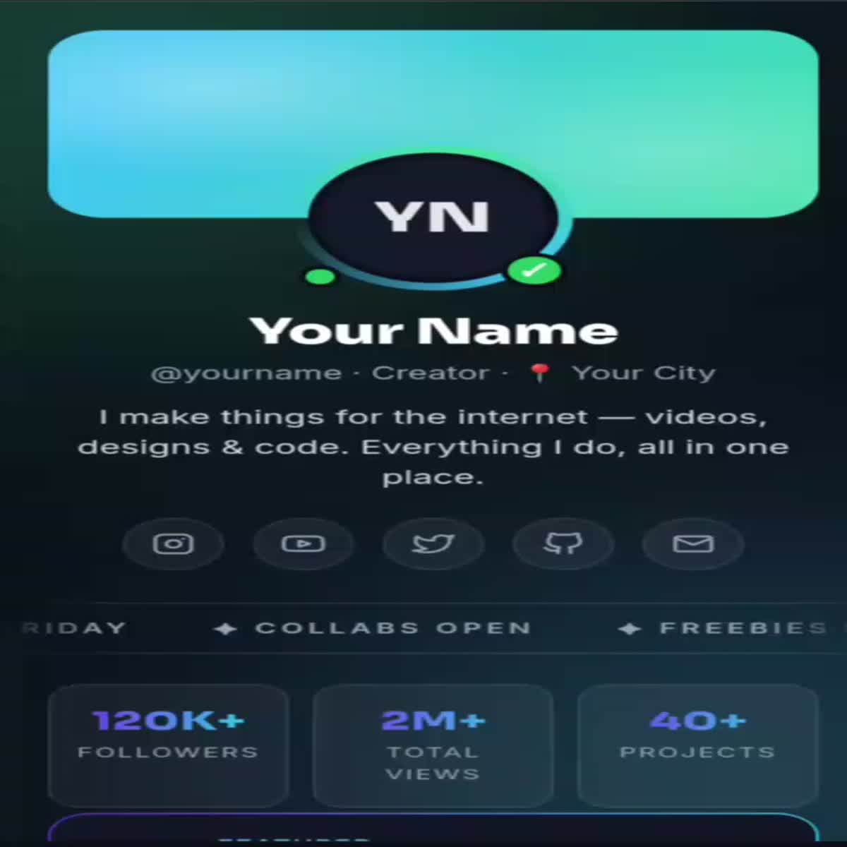 Professional Bio Link Landing Page with Custom Design