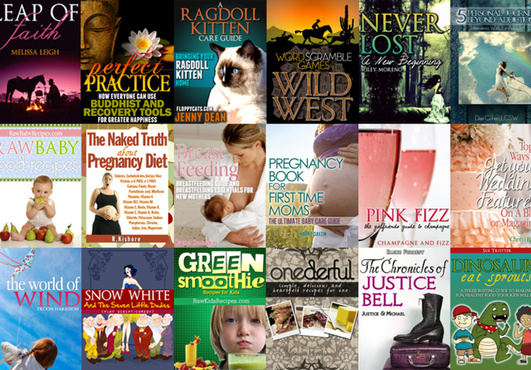 design a professional and unique eBook cover or Kindle cover