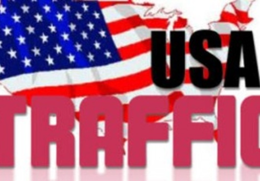 deliver 5000 Real Human Traffic To Your Website/Blog Maximum visitor from USA only