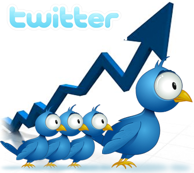 Get you 15,000++ Guaranteed Twitter FOLLOWERS into your Account, 'Without Admin Access'