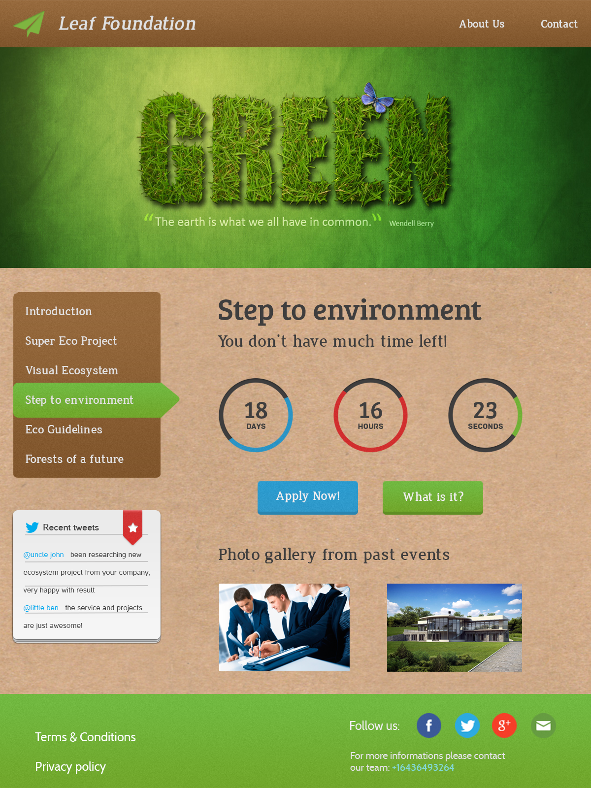 I will design a website