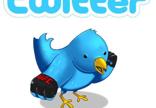 add you 450+ real Twitter Followers within 24 hours.........