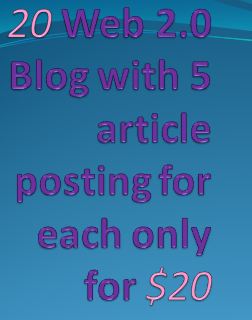 get you manually 20 web 2.0 blog & post 5 provided post for each