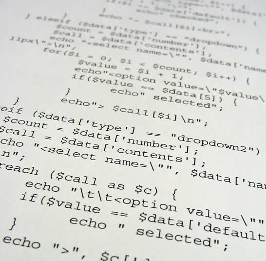 create a custom PHP script or feature for your website