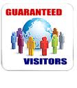 drive 2.500 Unique Real Web Traffic Visitors