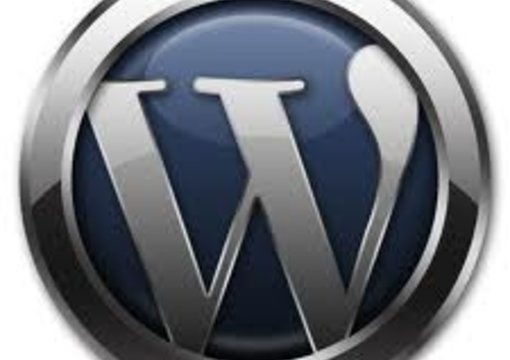 solve your Wordpress blogs css,html and other wordpress issues 