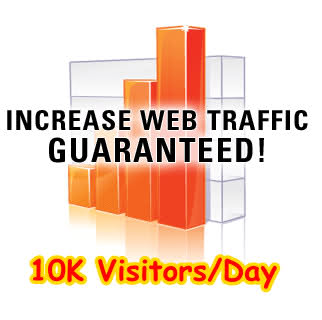 I will Deliver 10,000 unique visitors to your website 