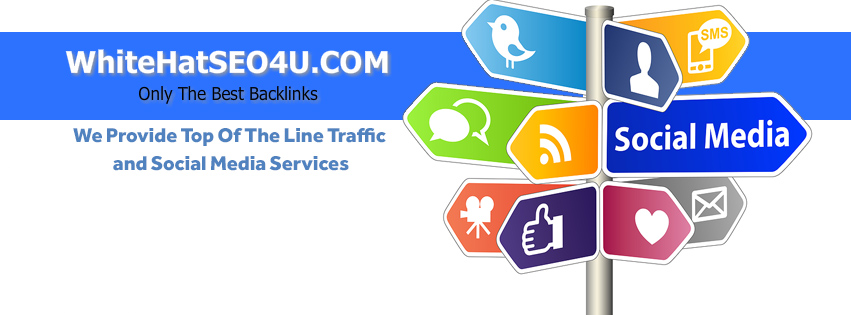 DripLink Blast 1519 Quality Web 2.0 Backlinks