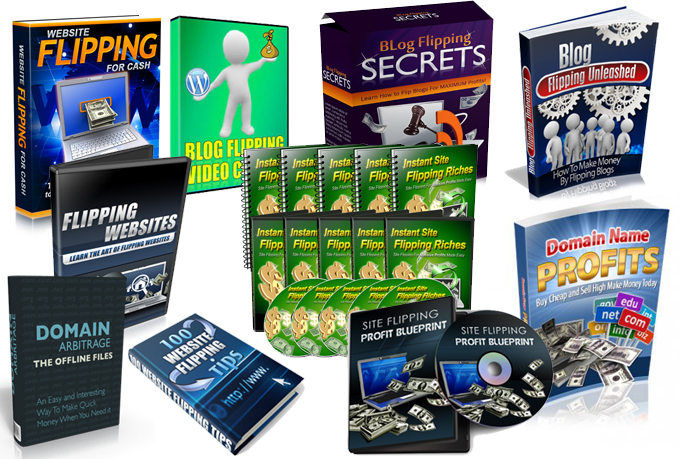 Send You The BEST Website Flipping Training Package