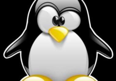 kill the google PANDA and PENGUIN