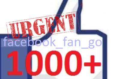 give you quality 1000+ USA facebook fans likes to your fb fan page, average express delivery in less than 6hr