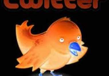 add 25000+ twitters folowerz to your existing account without the need of your password